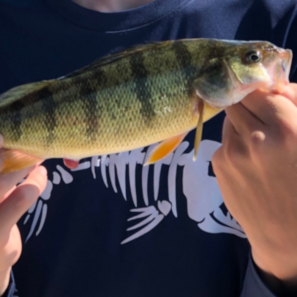 Meet your Posher, Hunter